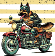 MotoPiknik owczarek niemiecki