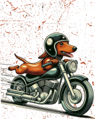 MotoPiknik jamnik