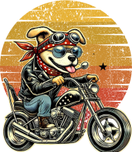 MotoPiknik pies