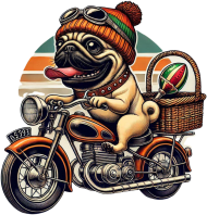 Motopiknik bulgod
