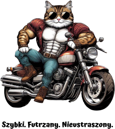 motopiknik kot
