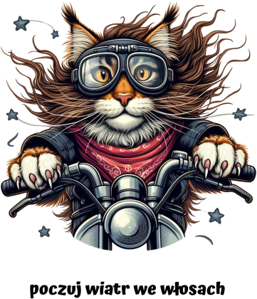 motopiknik kot