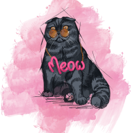 Tadeusz - Meow