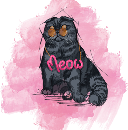 Tadeusz - Meow