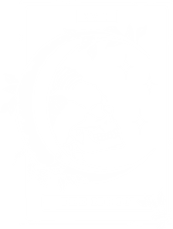 THE MOON KARTA TAROT KSIĘŻYC
