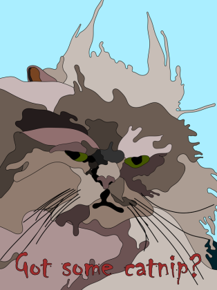 Got some catnip? Torba