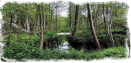 natura