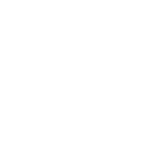 Koszulka PTF (damska)