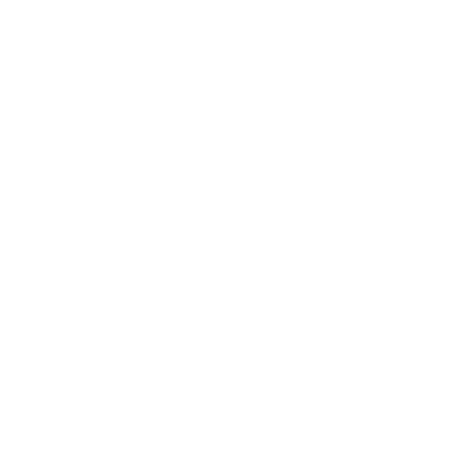Koszulka PTF (damska)