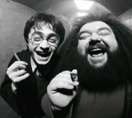 KOSZULKA HARRY