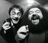 KOSZULKA HARRY