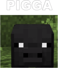 Pigga