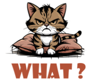 What?