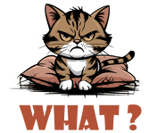 What?