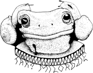 Koszulka Żaba Milorda, T-shirt Milord's frog