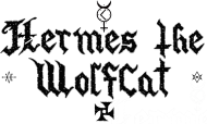 Koszulka Hermes the WolfCat, T-shirt Hermes the WolfCat