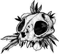 Koszulka Kocia czaszka, T-shirt Kitten skull