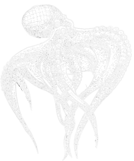 Koszulka Ośmiornica_n, T-shirt Octopus_n