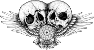 Koszulka Janusowa czaszka, T-shirt Janus skull