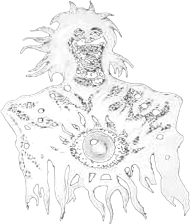 Koszulka Alucard_n, T-shirt Alucard_n