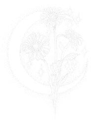 Bluza Stokrotki księżycowe_n, Blouse Moon daisies_n