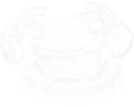 Bluza Żaba Milorda_n, Blouse Milord's frog_n