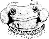 Bluza Żaba Milorda, Blouse Milord's frog