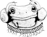 Bluza z kapturem Żaba Milorda, Hoodie Milord's frog
