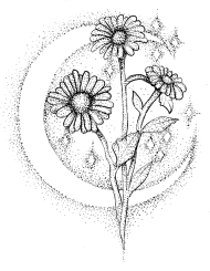 Bluza z kapturem Stokrotki księżycowe, Hoodie Moon daisies