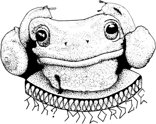 Koszulka Żaba Milorda, T-shirt Milord's frog