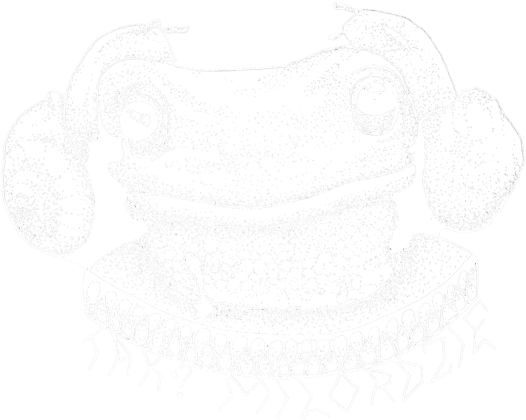 Koszulka Żaba Milorda_n, T-shirt Milord's frog_n