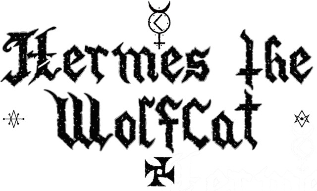 Koszulka Hermes the WolfCat, T-shirt Hermes the WolfCat