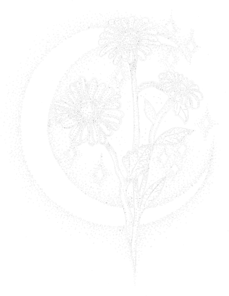 Koszulka Stokrotki księżycowe_n, T-shirt Moon daisies_n