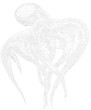 Koszulka Ośmiornica_n, T-shirt Octopus_n