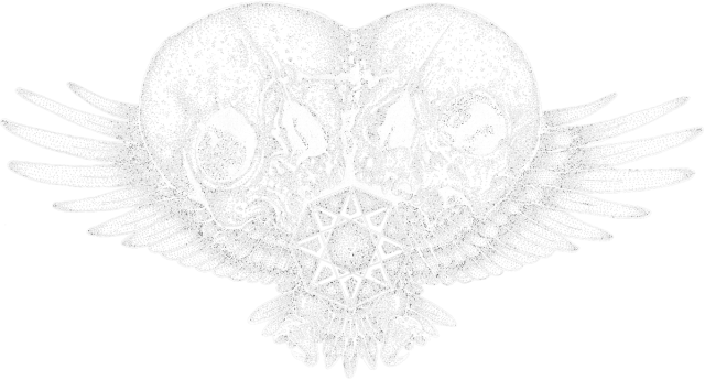 Koszulka Janusowa czaszka_n, T-shirt Janus skull_n