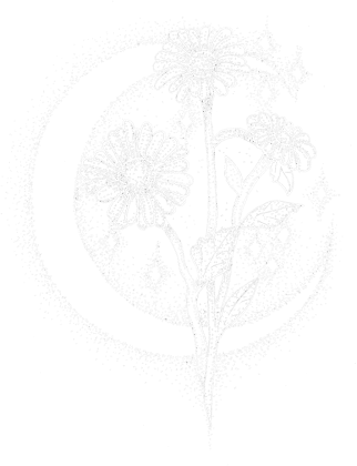 Bluza Stokrotki księżycowe_n, Blouse Moon daisies_n