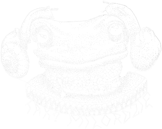 Bluza Żaba Milorda_n, Blouse Milord's frog_n