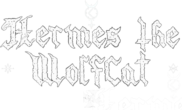 Bluza z kapturem Hermes the WolfCat_n, Hoodie Hermes the WolfCat_n