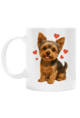 Yorkshire Terrier, York - Well not well