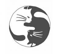 Cats - Koszulka Biała