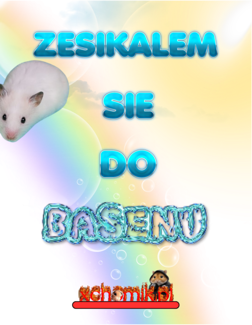 Zesikalem sie do basenu tiszert