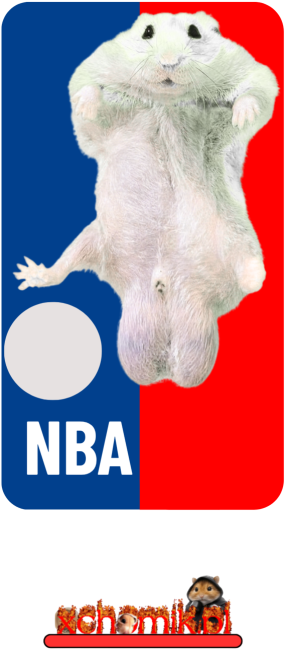 basketball jersey white and black (no room for racism)
