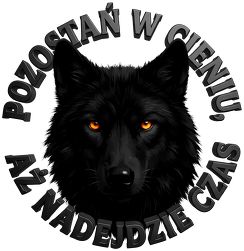 Czapka z daszkiem Wilk 3D - "Pozostań w cieniu" - nadruk