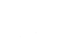 T-SHIRT " Gym Beast!" black