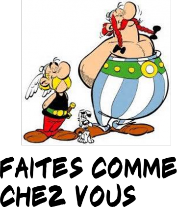 T shirt Asterix i Obelix