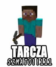 #17 Koszulki Minecraft MC