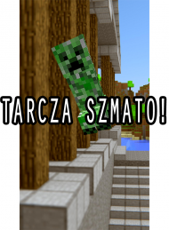 #27 Koszulki Minecraft MC