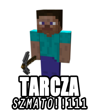 #17 Koszulki Minecraft MC