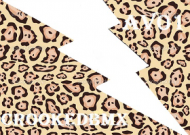 Crookedbmx Cheetah White