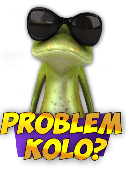 koszulka PROBLEM KOLO? męska
